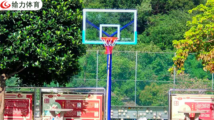 江門學?；@球架