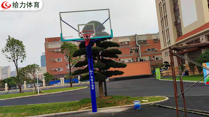 學(xué)?；@球架廠家